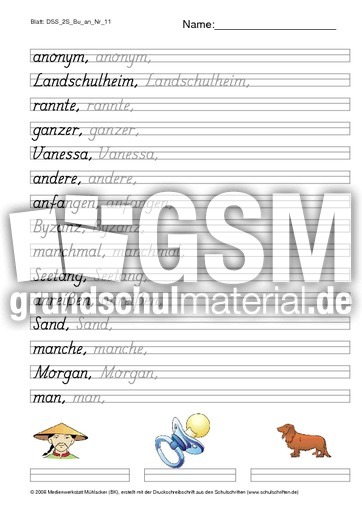 DSS_2S_Bu_an_Nr_11.pdf